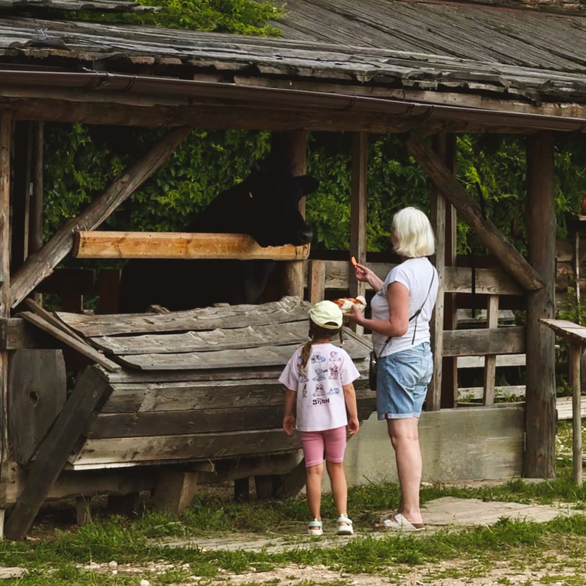 29 - 31 августа. Летние выходные в «Горячих ключах»