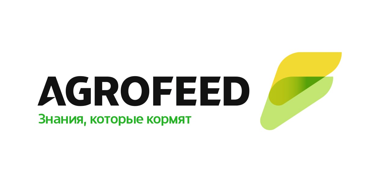 Партнеры благотварительной новогодней елки